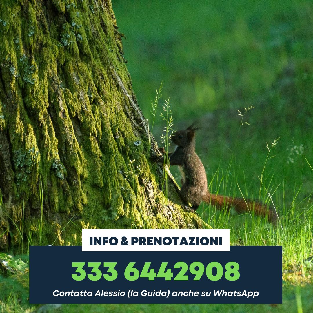 La Valle Ombrosa - immagine 4