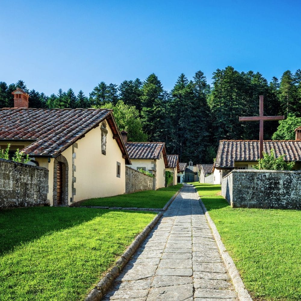 La Foresta Eremitica