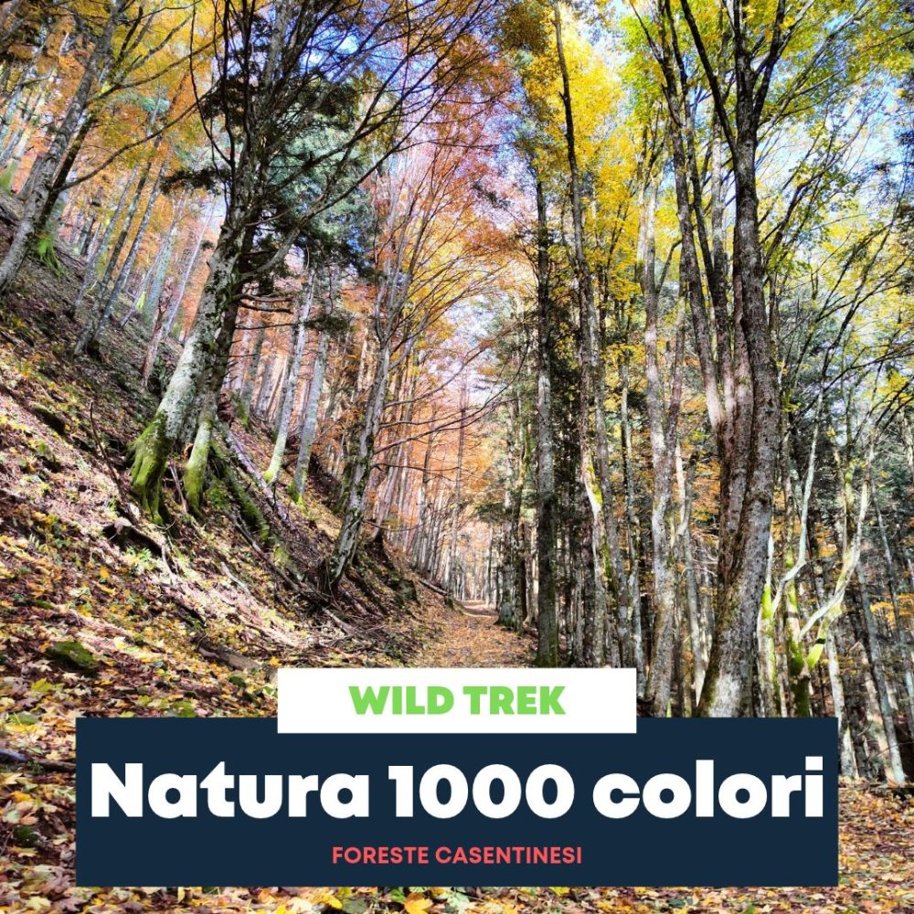 Natura 1000 colori