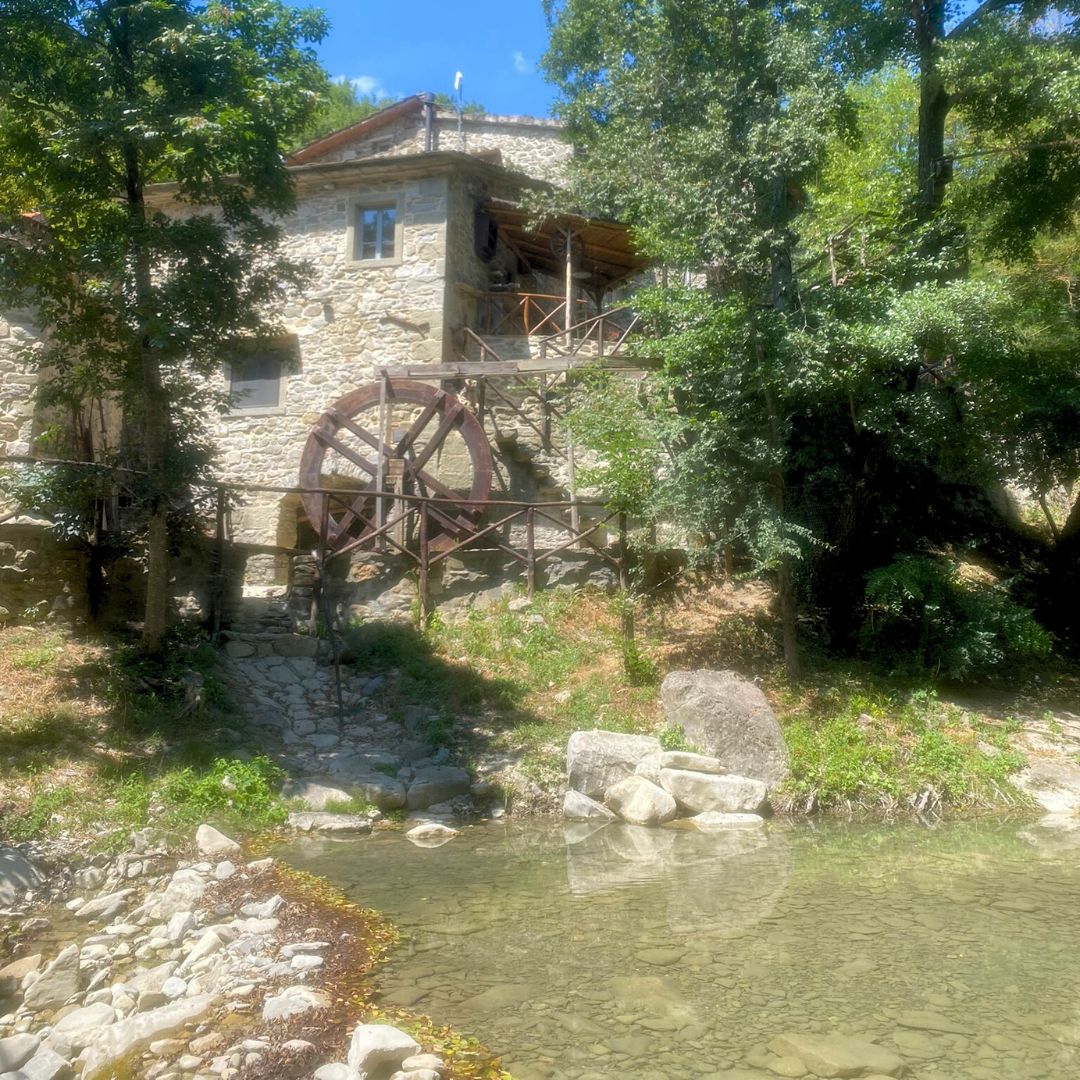 Acquatrekking nel Corsalone - immagine 8