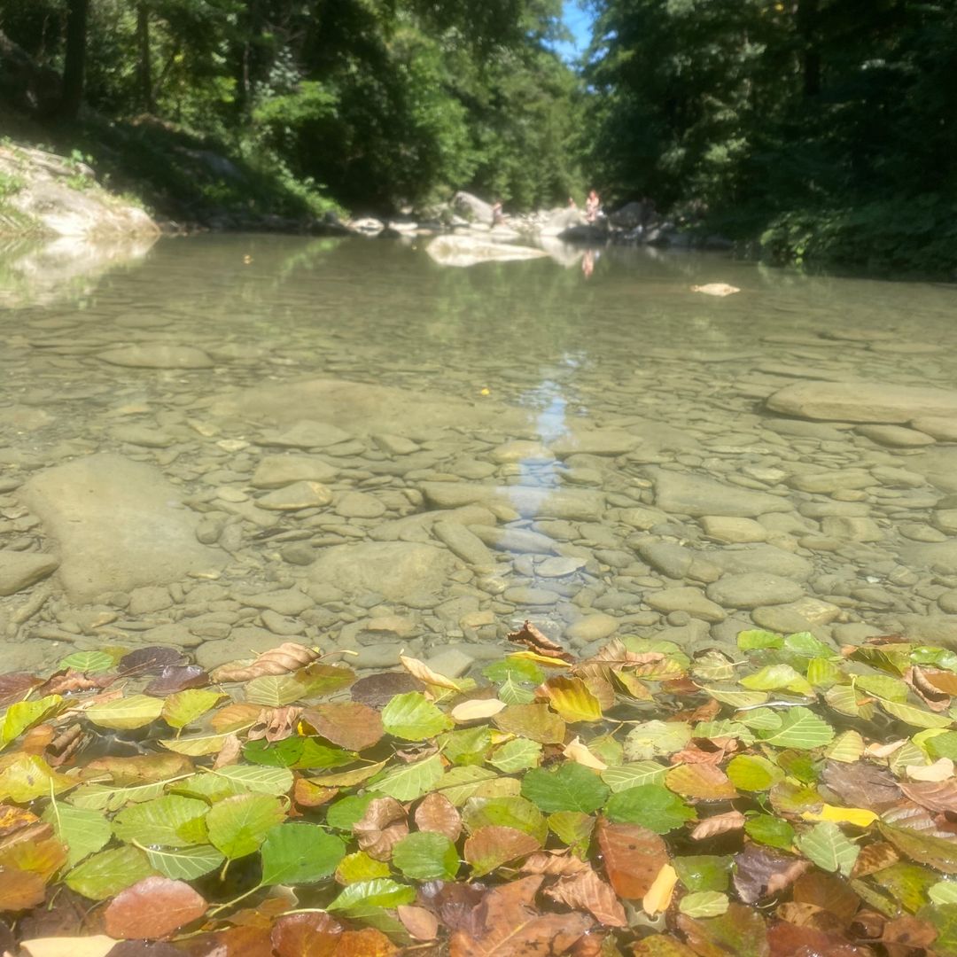 Acquatrekking nel Corsalone - immagine 6