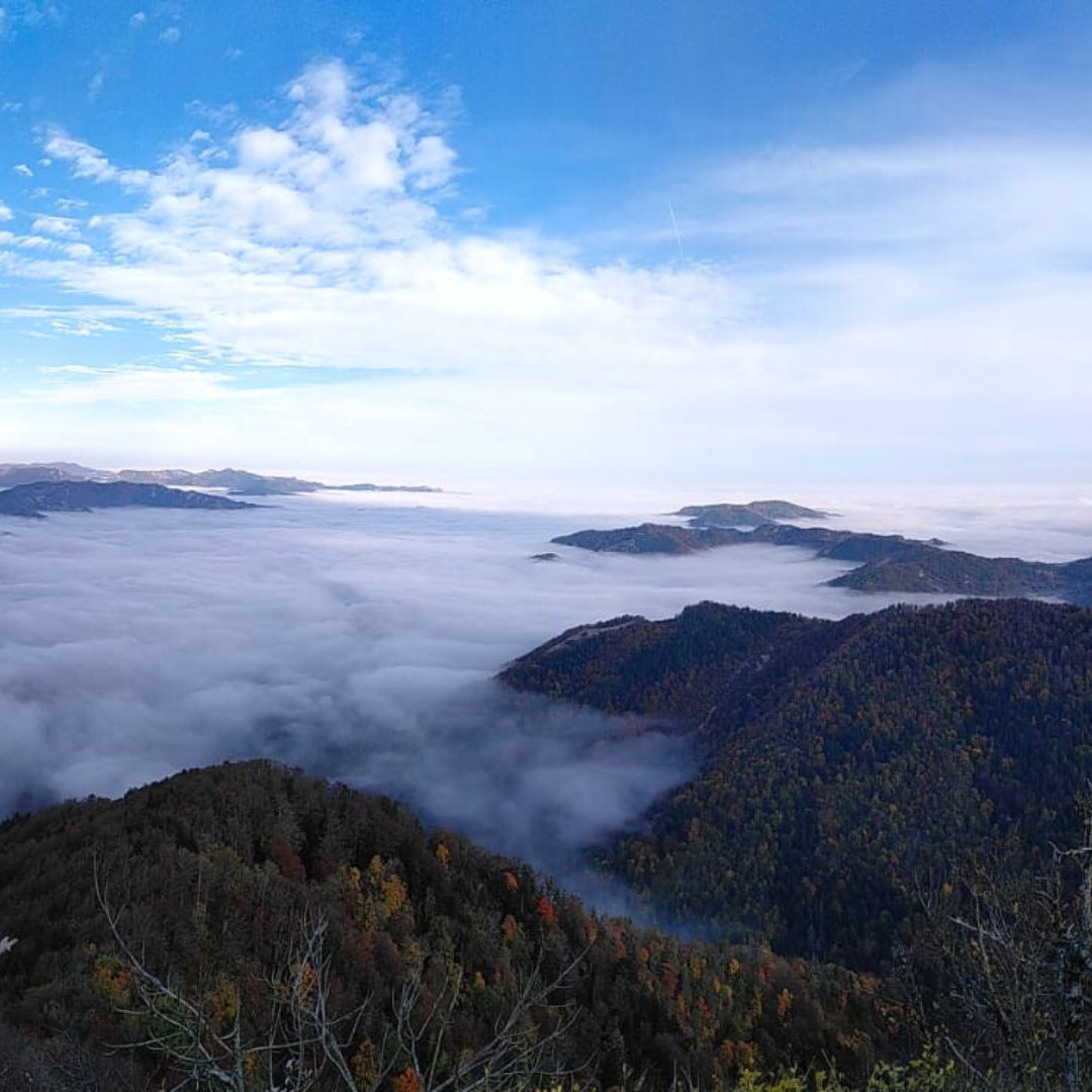 Alba su Sasso Fratino - immagine 4