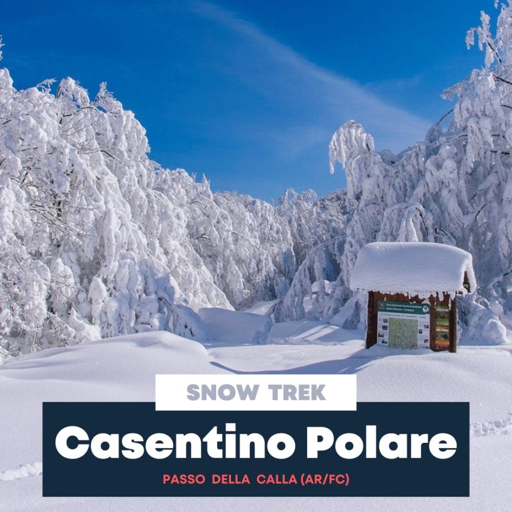 Casentino Polare
