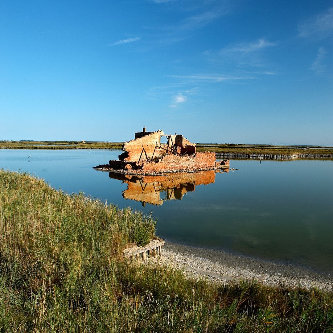 Oasi in Rosa - immagine 6