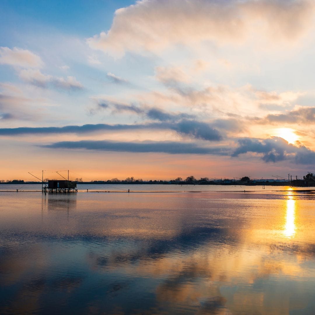 Oasi in Rosa - immagine 3