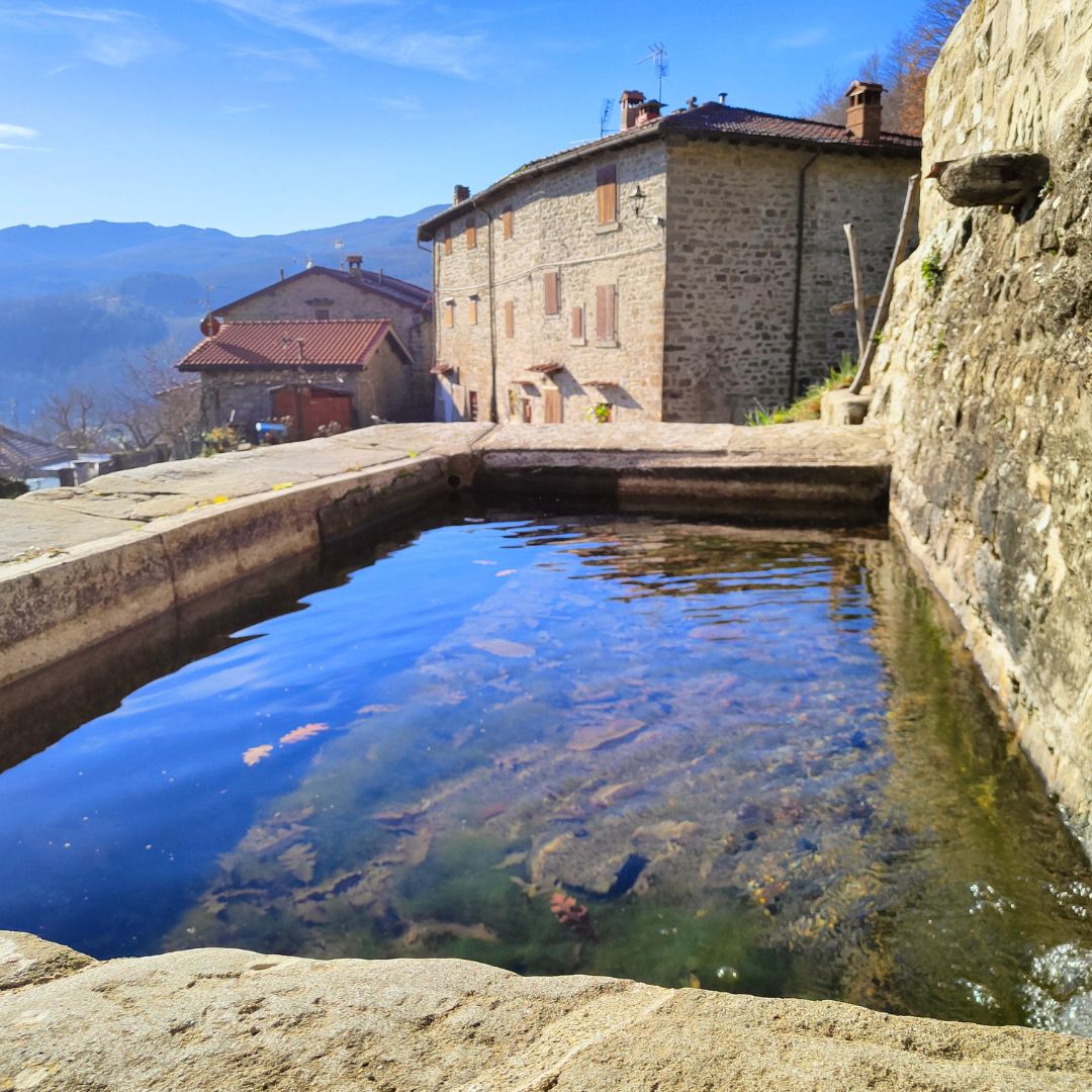 Giro delle Frazioni - Montemignaio - immagine 4