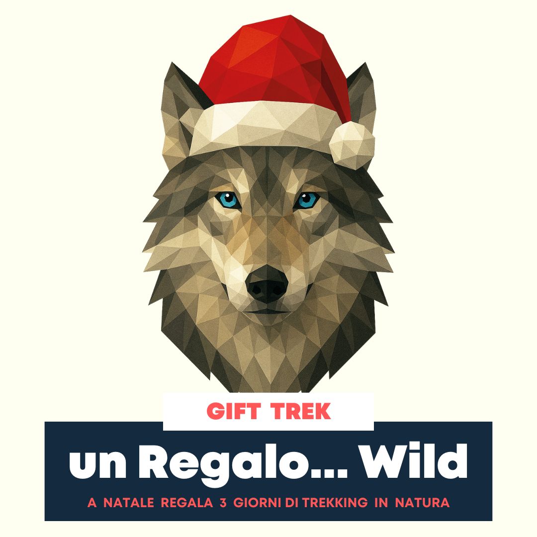 a Natale fai un Regalo… Wild