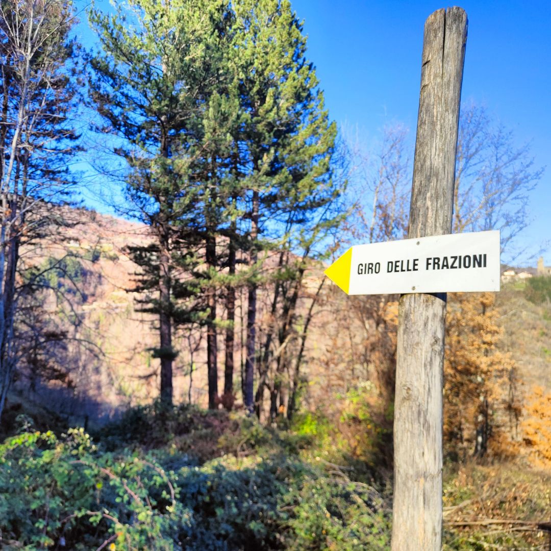 Giro delle Frazioni - Montemignaio - immagine 8