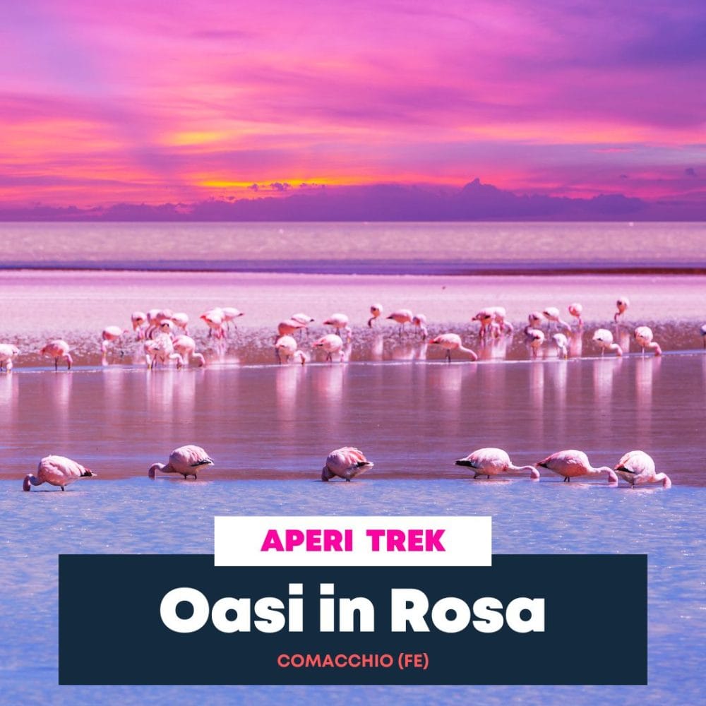 Oasi in Rosa