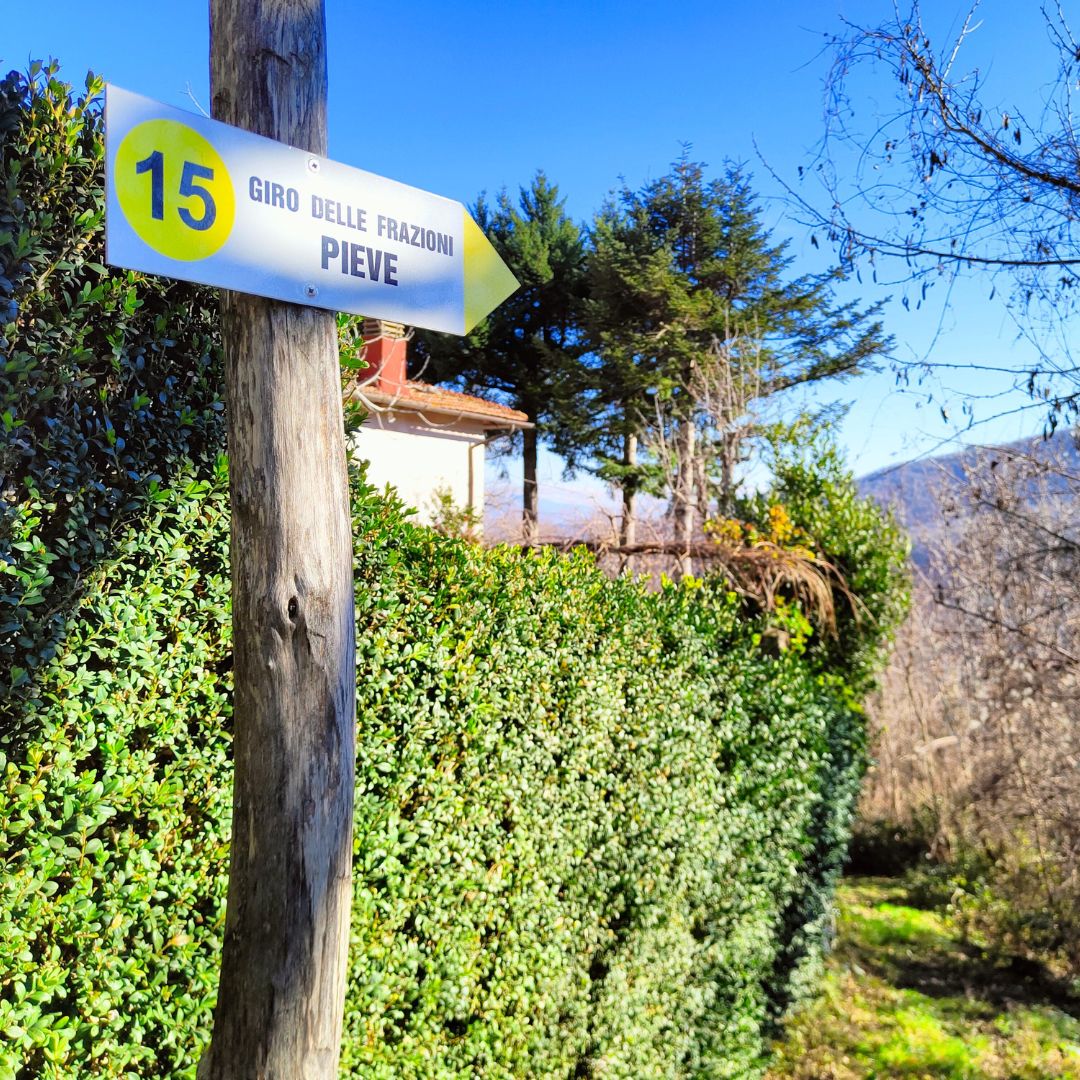 Giro delle Frazioni - Montemignaio - immagine 6
