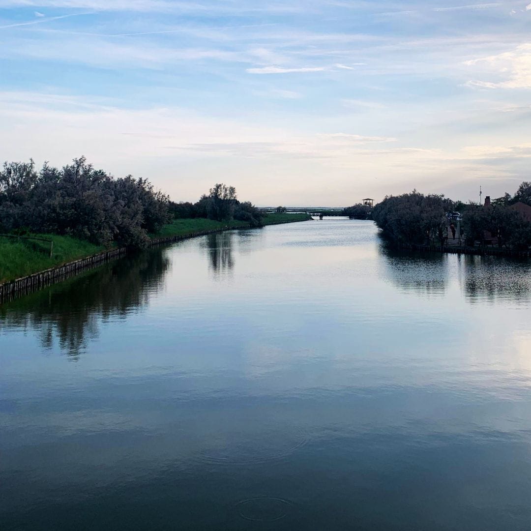 Oasi in Rosa - immagine 5