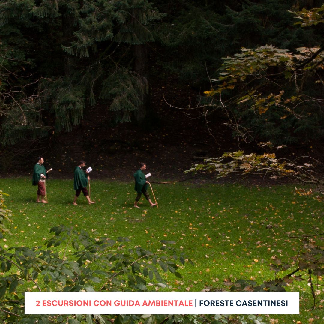 Esplorare le foreste del Casentino e lasciarsi sorprendere dal panorama sulle vallate, dagli antichi castelli e leggende