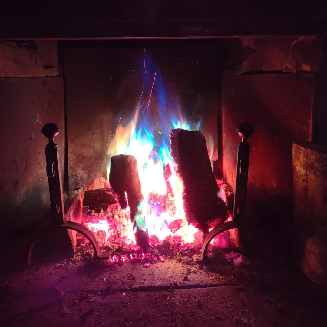 Veglia in Foresta - immagine 2