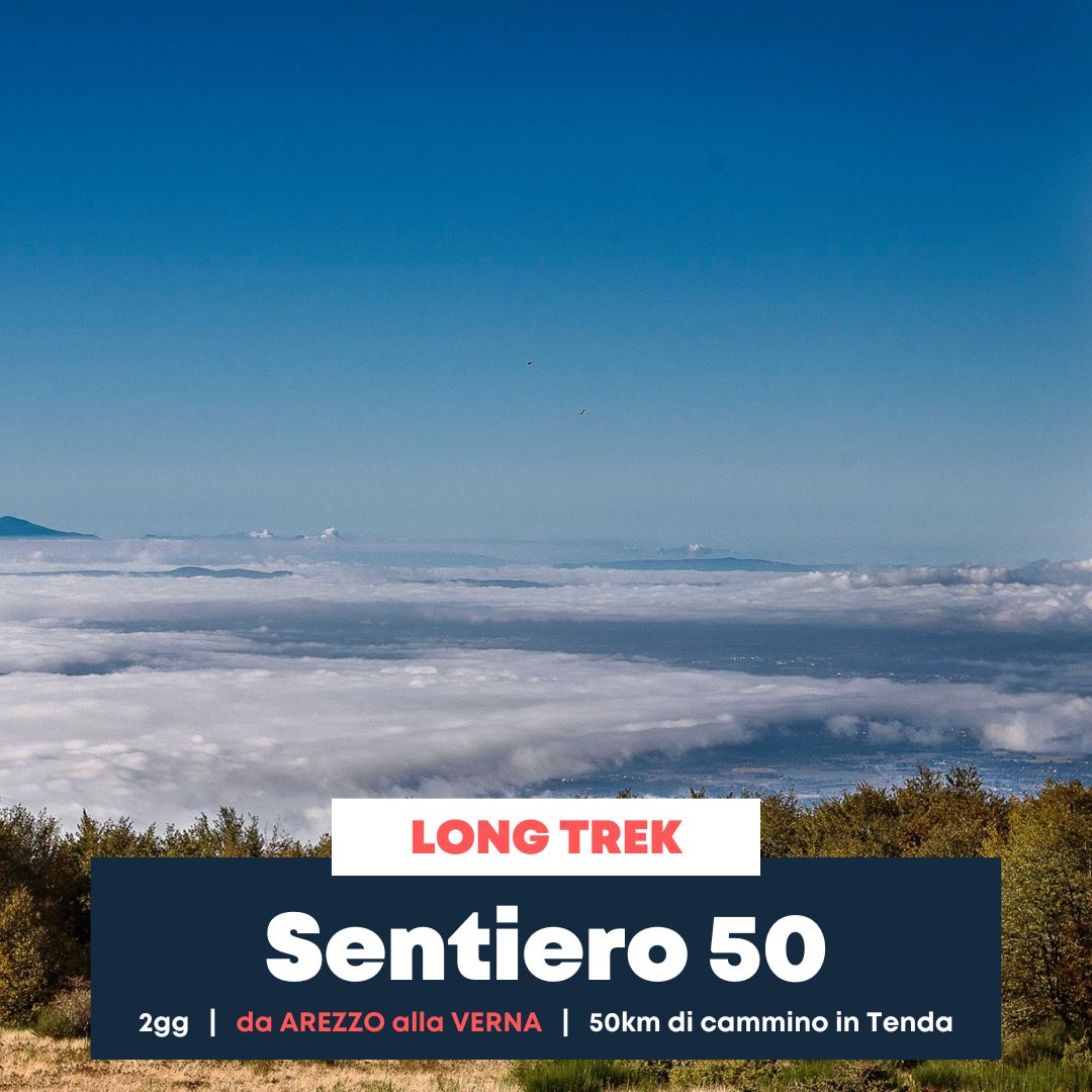 La Strada dei Pellegrini