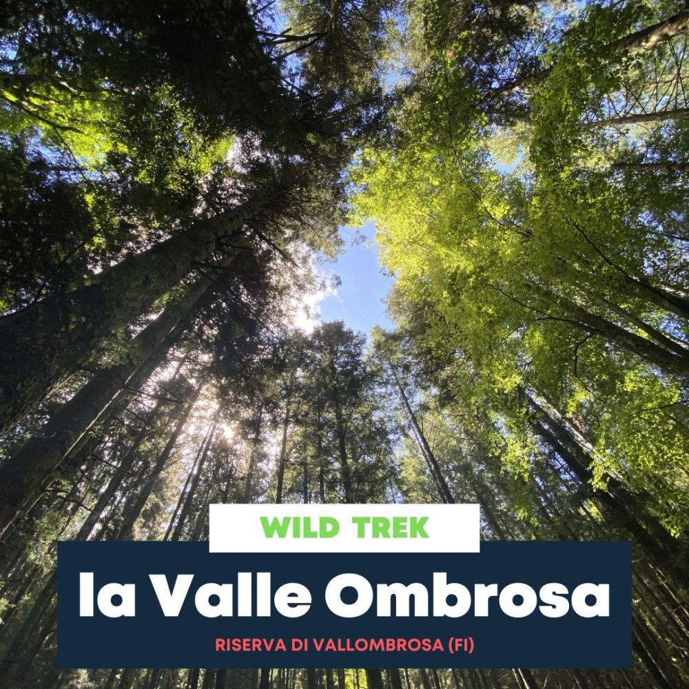 La Valle Ombrosa