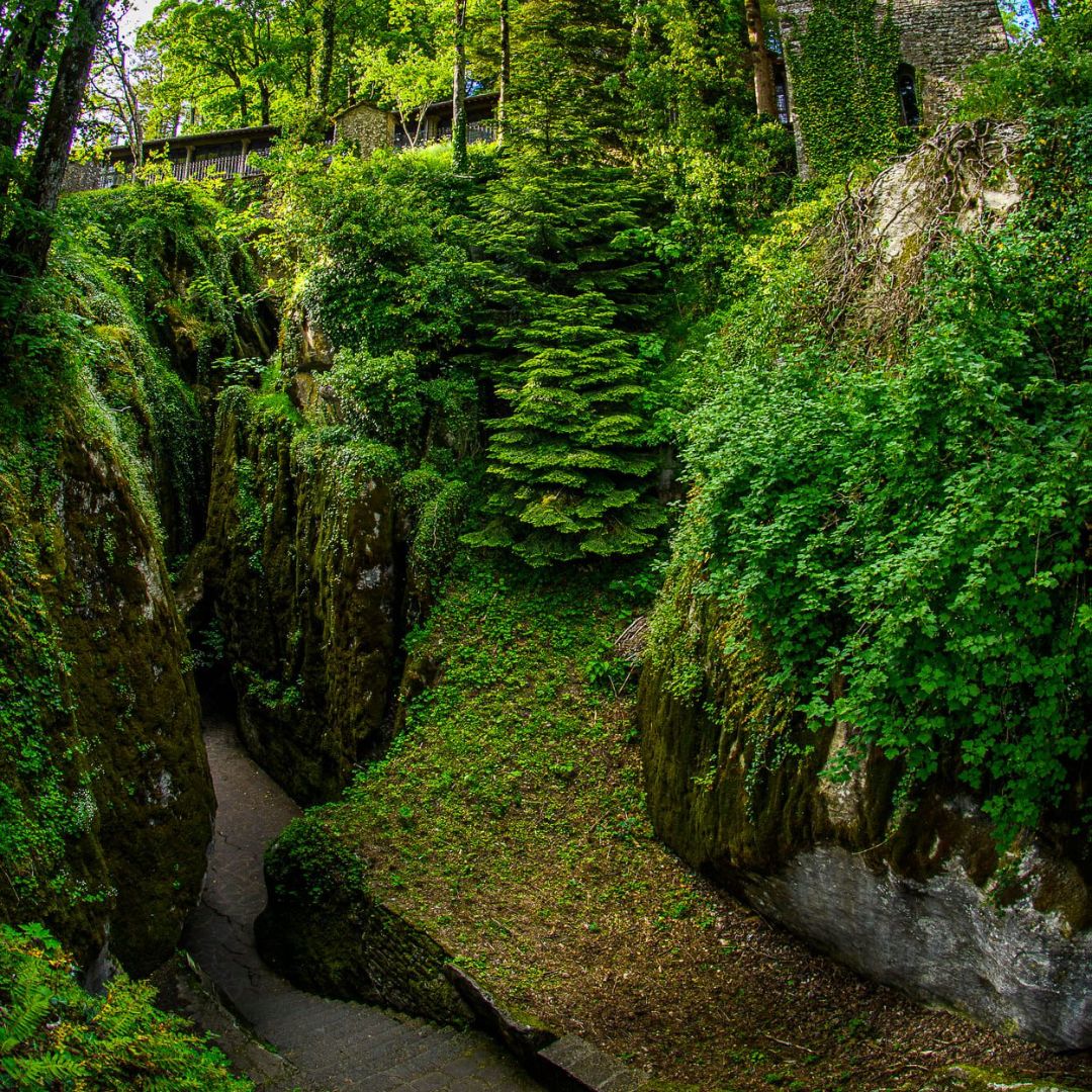 Alla ricerca di silenzio e bellezza tra i boschi del Monte Penna e il Santuario della Verna nel Parco delle Foreste Casentinesi