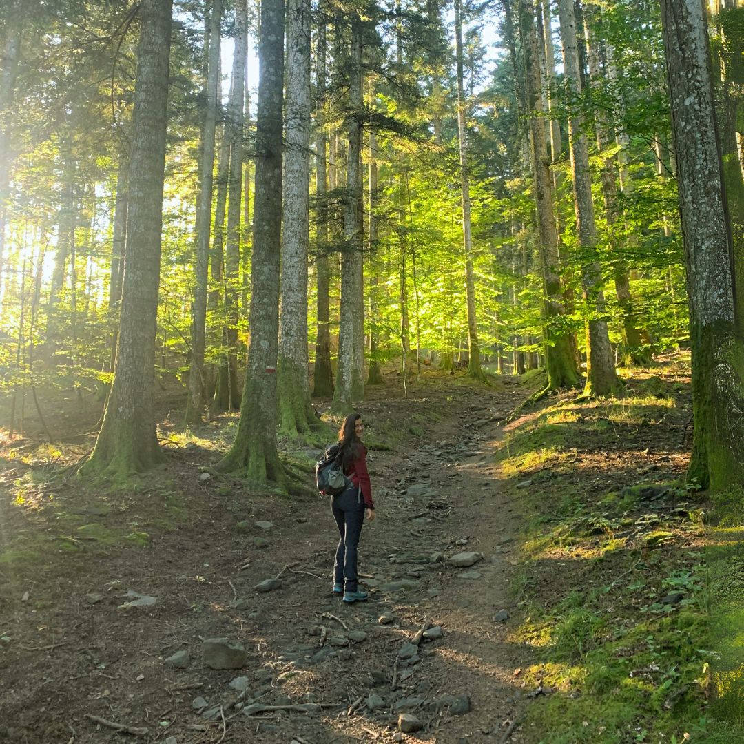 Camminata a Vallombrosa tra boschi secolari, alberi giganti e sentieri di montagna.