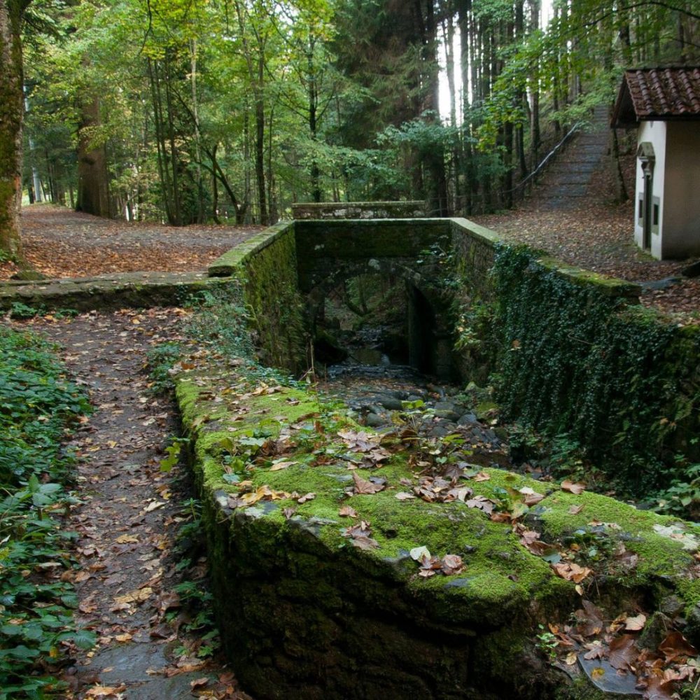 La Valle Ombrosa