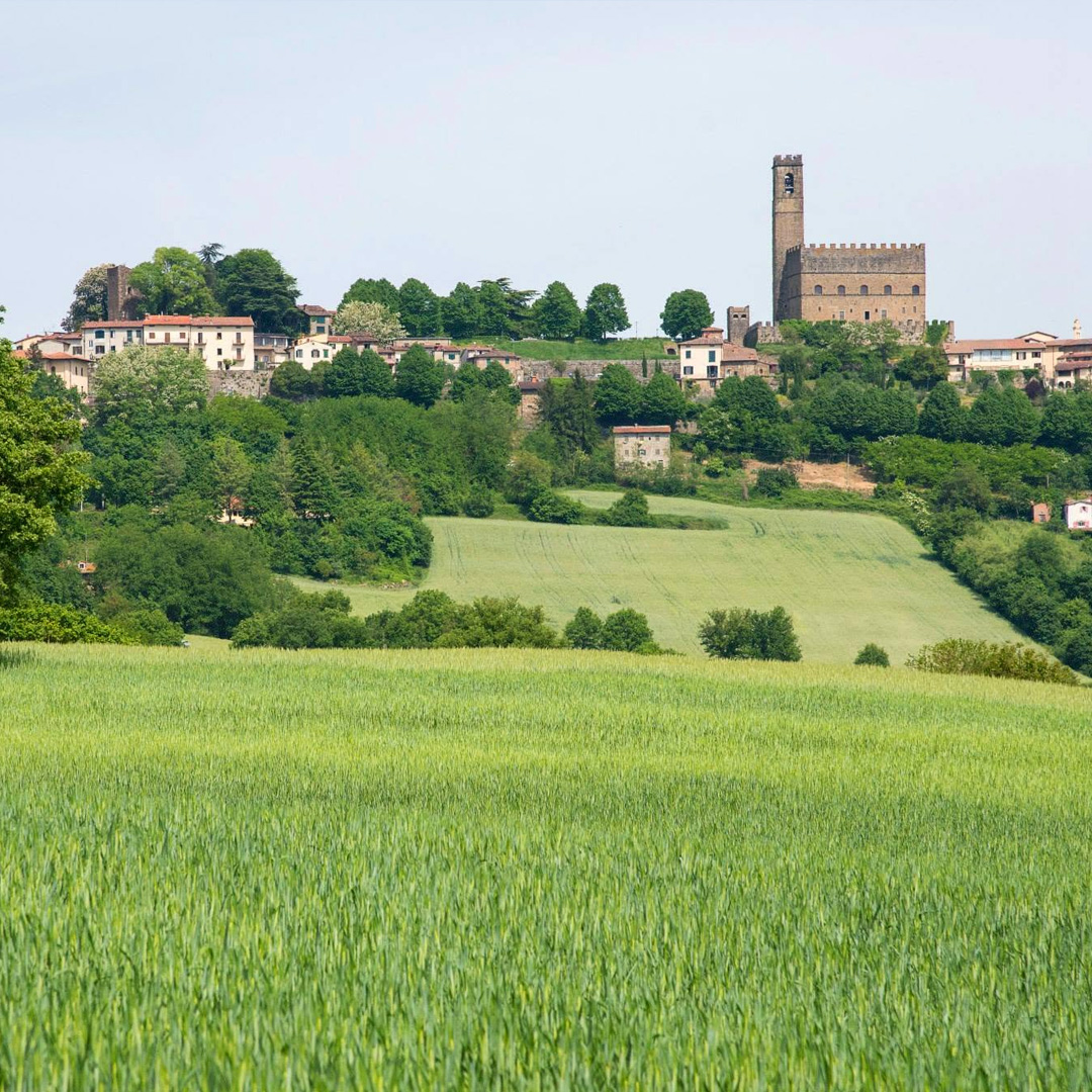 San Torello - immagine 3