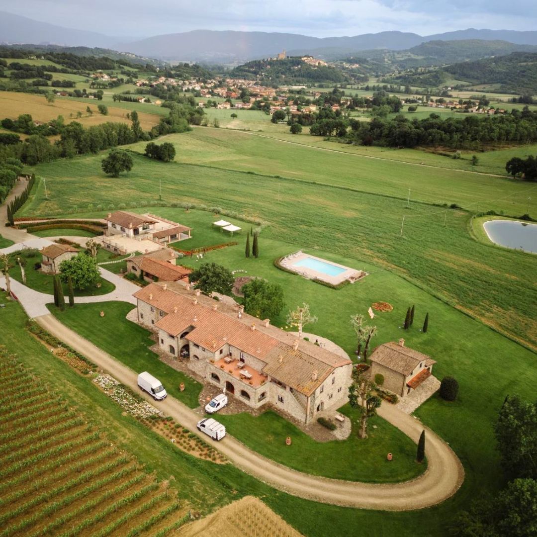 Visita guidata con aperitivo e assaggio dei vini alla cantina dell'Antico Fio in Casentino