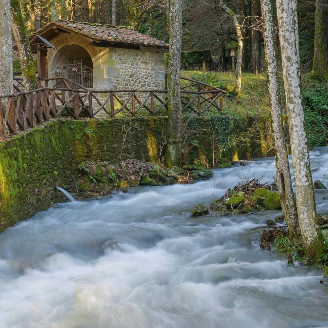 i Castagni di Camaldoli - immagine 4