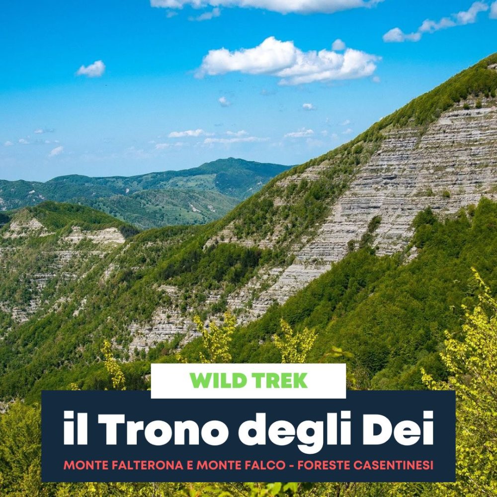 il Trono degli Dei