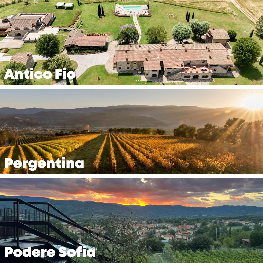 Visita guidata alle vigne e cantine di Poppi con assaggio dei vini del Casentino in lingua inglese