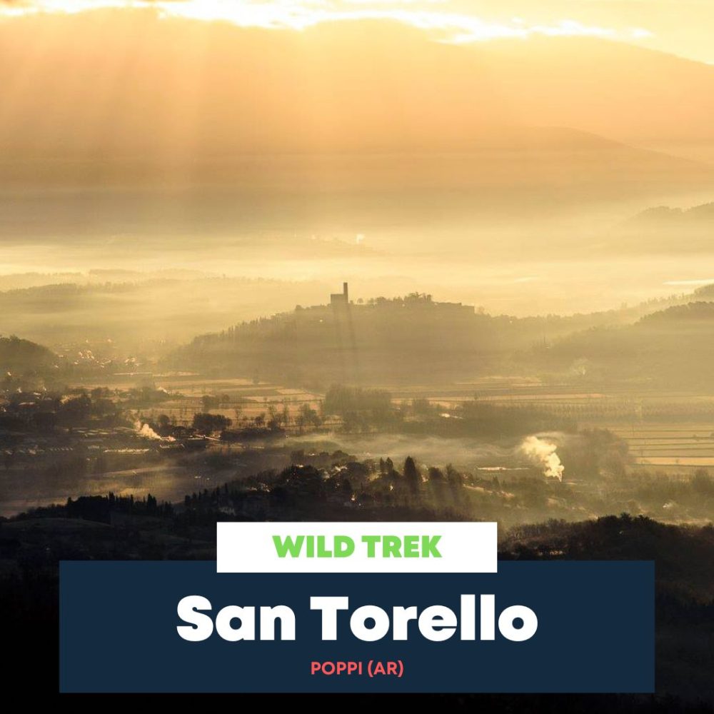 San Torello