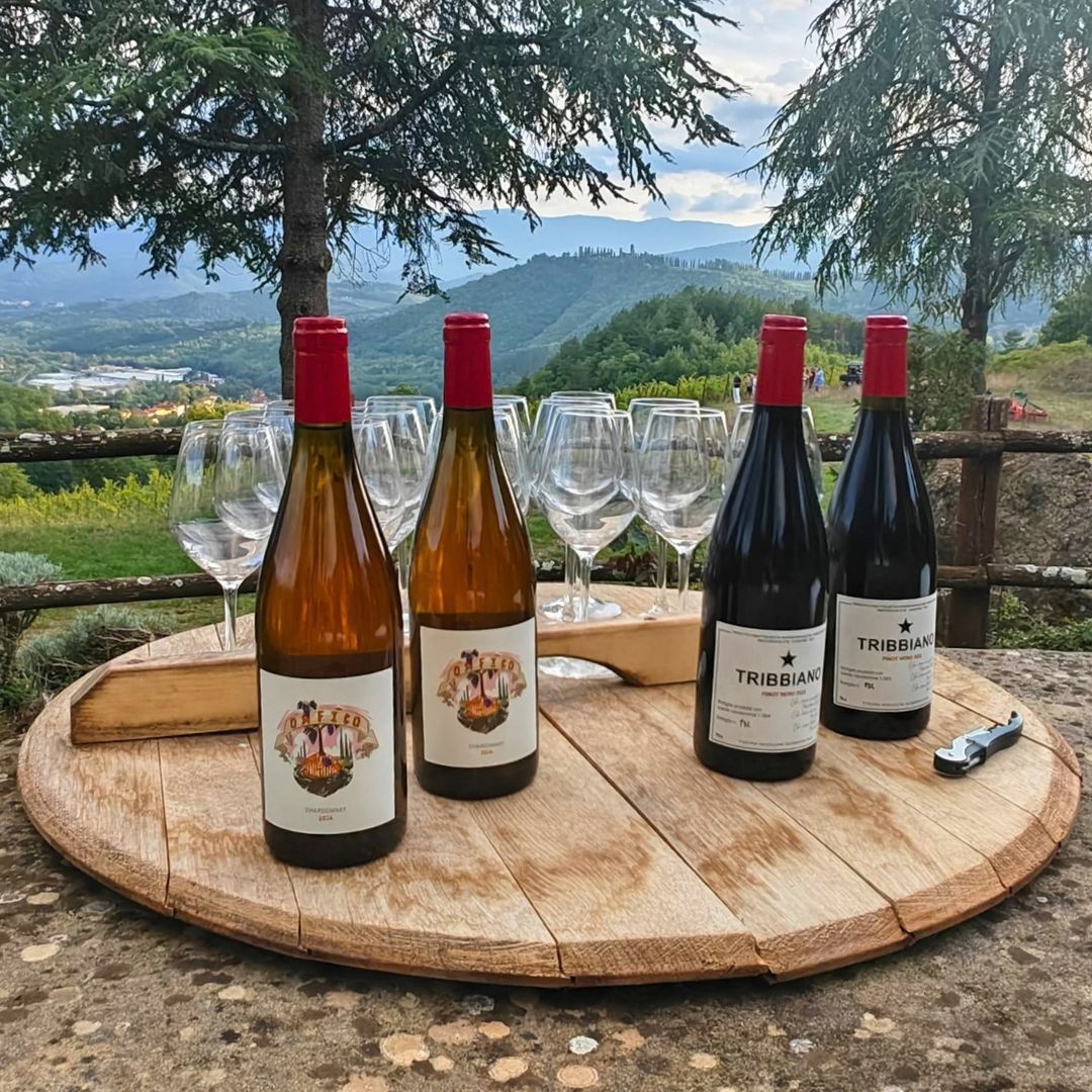 pinot-noir-casentino