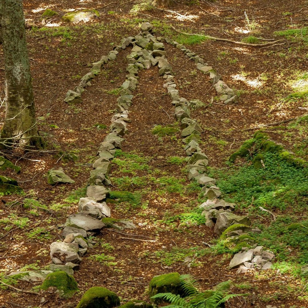 il Trono degli Dei - immagine 5