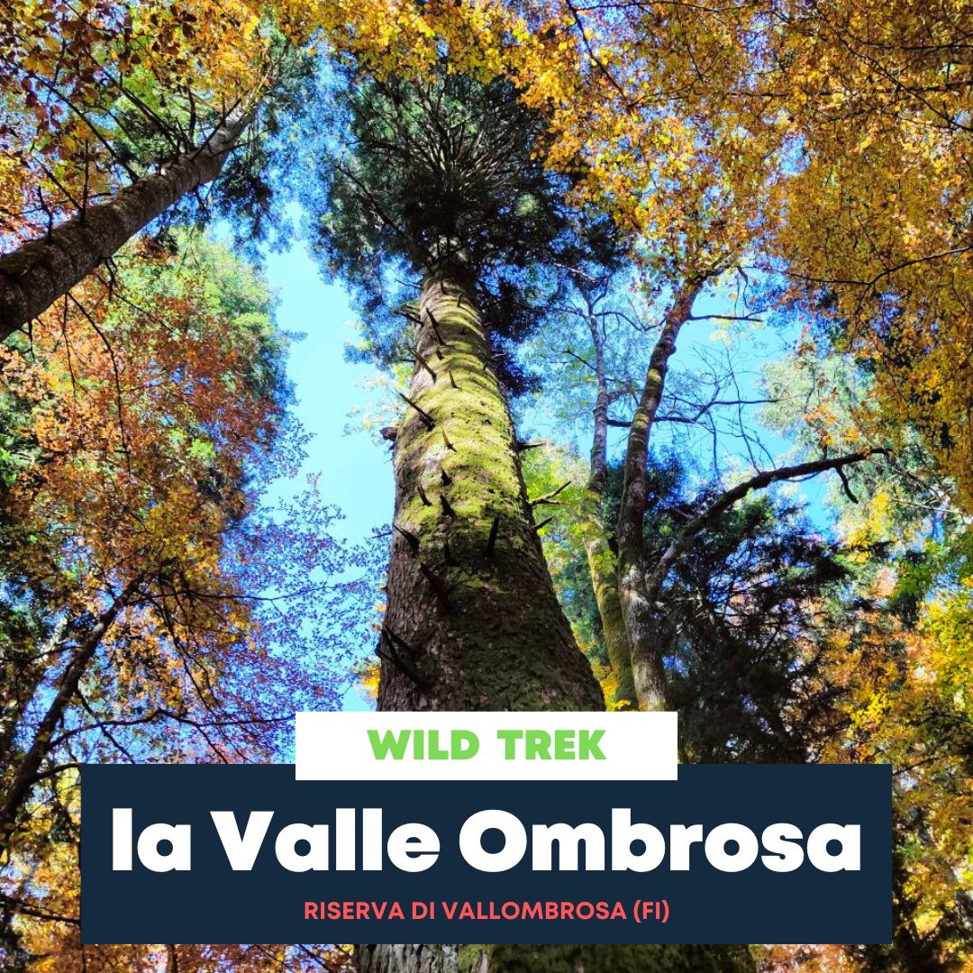 La Valle Ombrosa