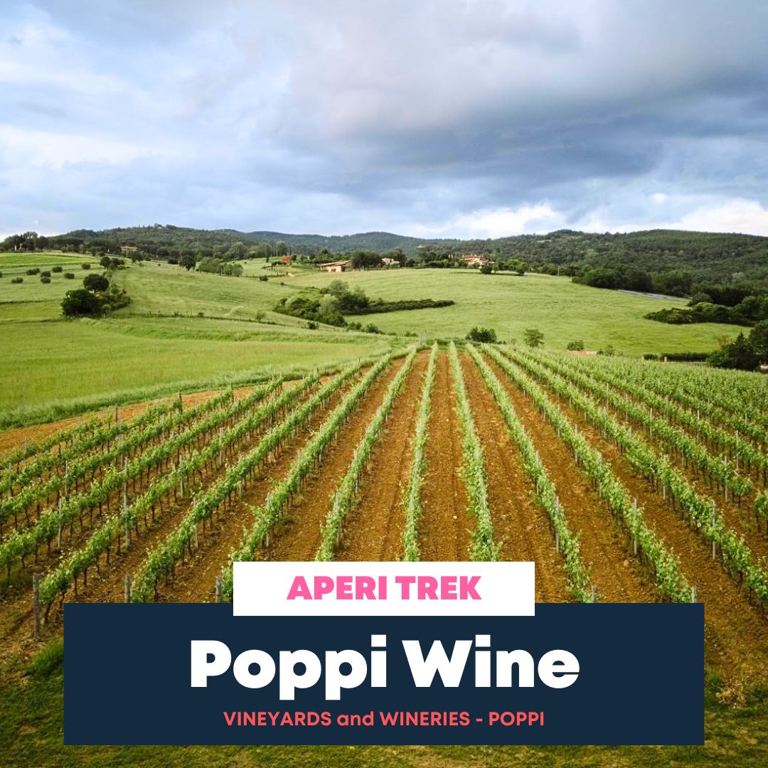 Escursione con guida ai produttori di vino in Casentino con assaggio e sommelier