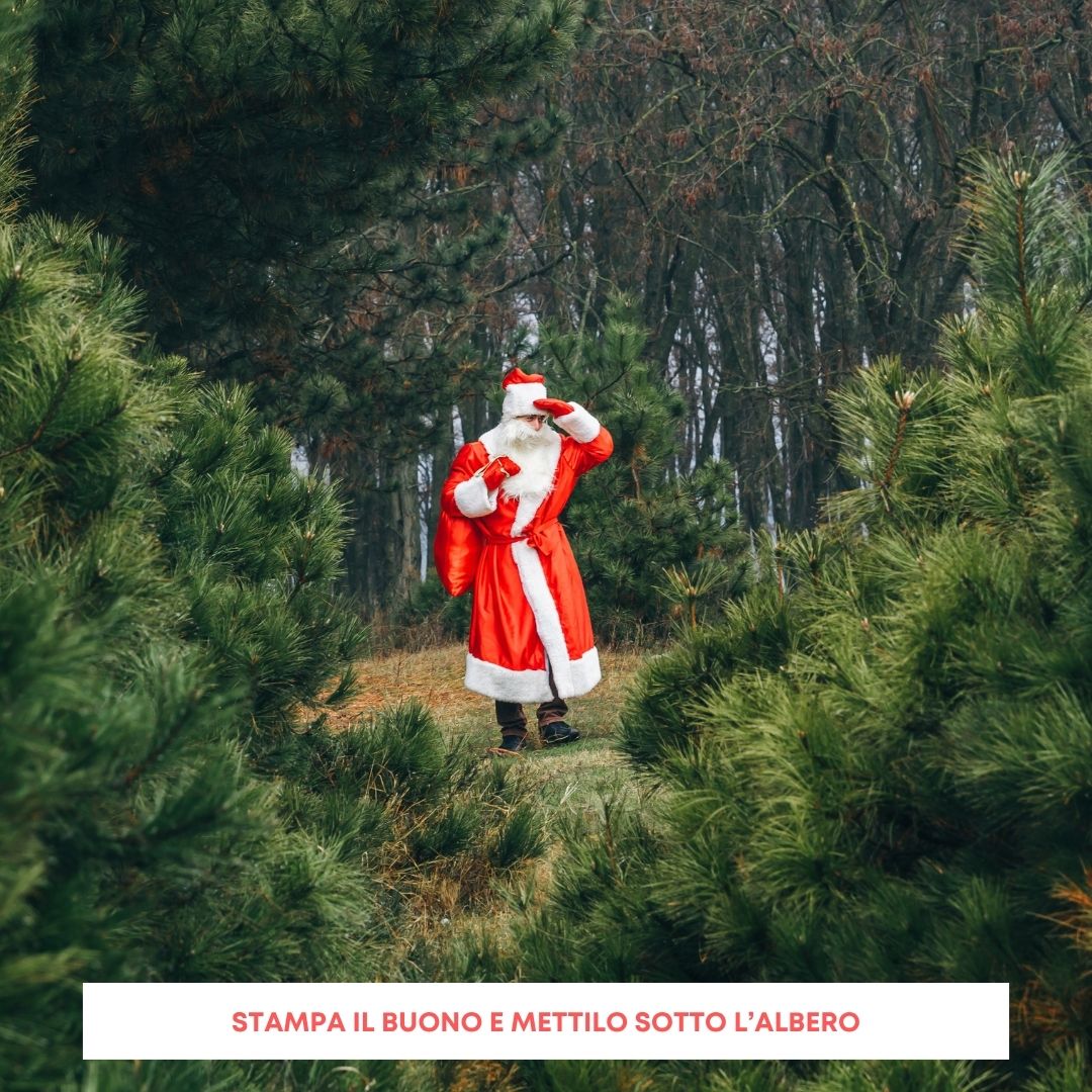 a Natale fai un Regalo... Wild - immagine 12