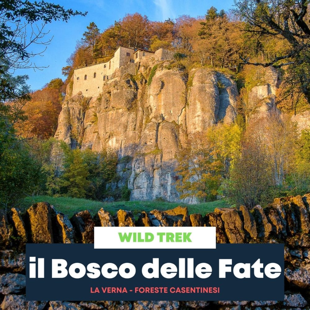 Il Bosco delle Fate