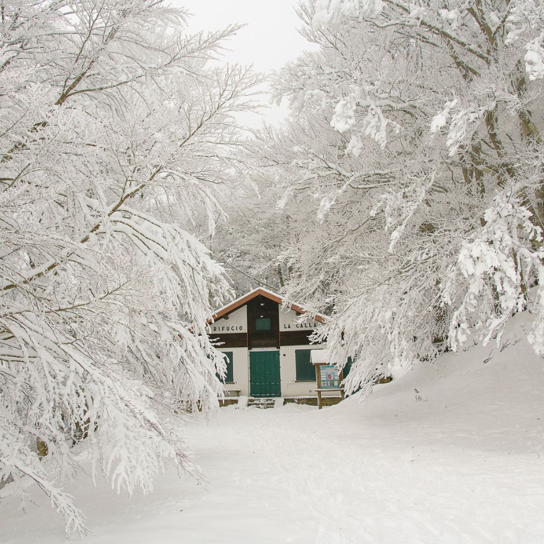 Casentino Polare - immagine 6