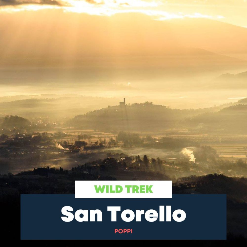 San Torello