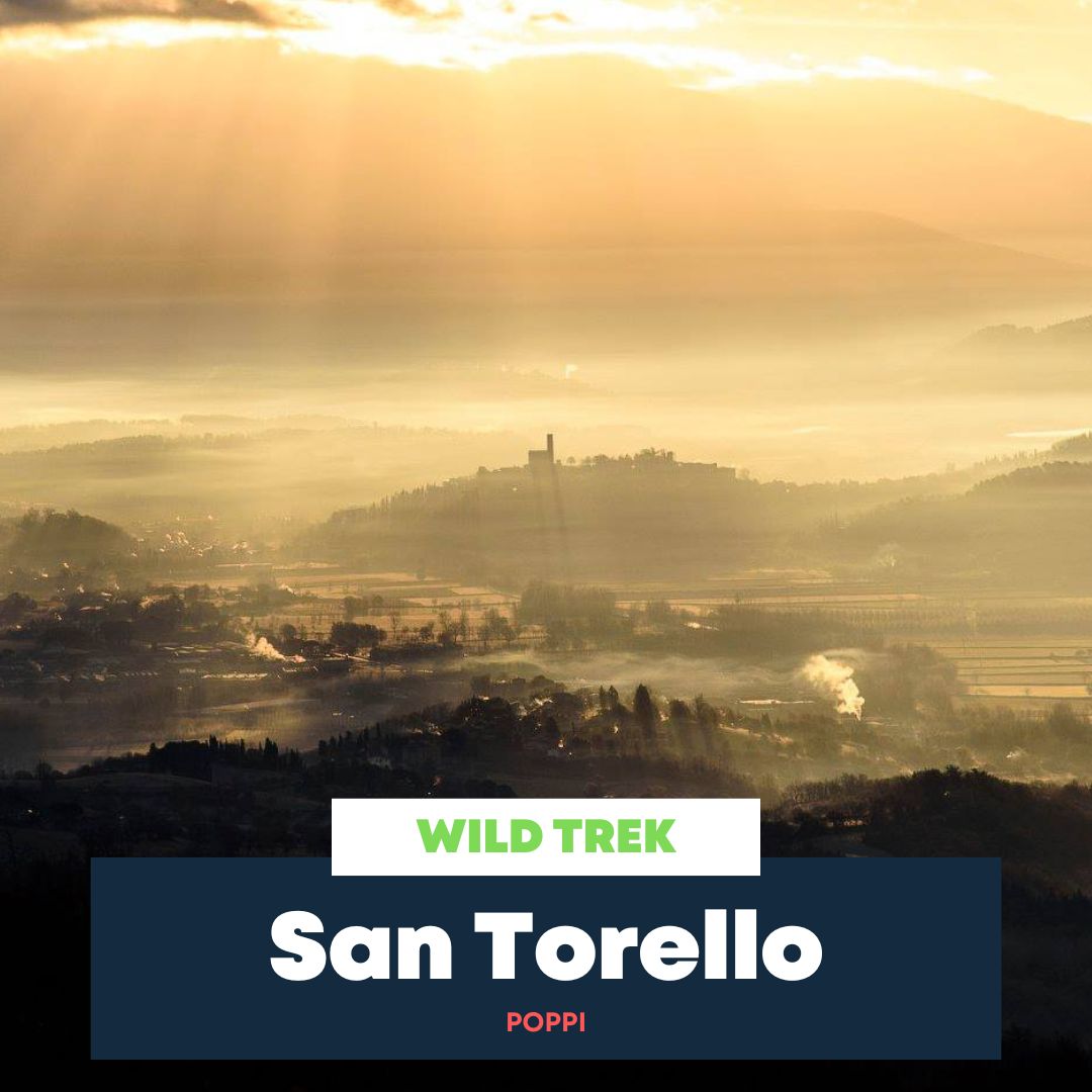 San Torello