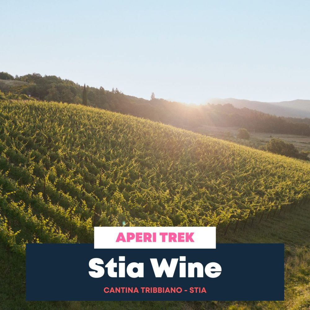 Stia Wine