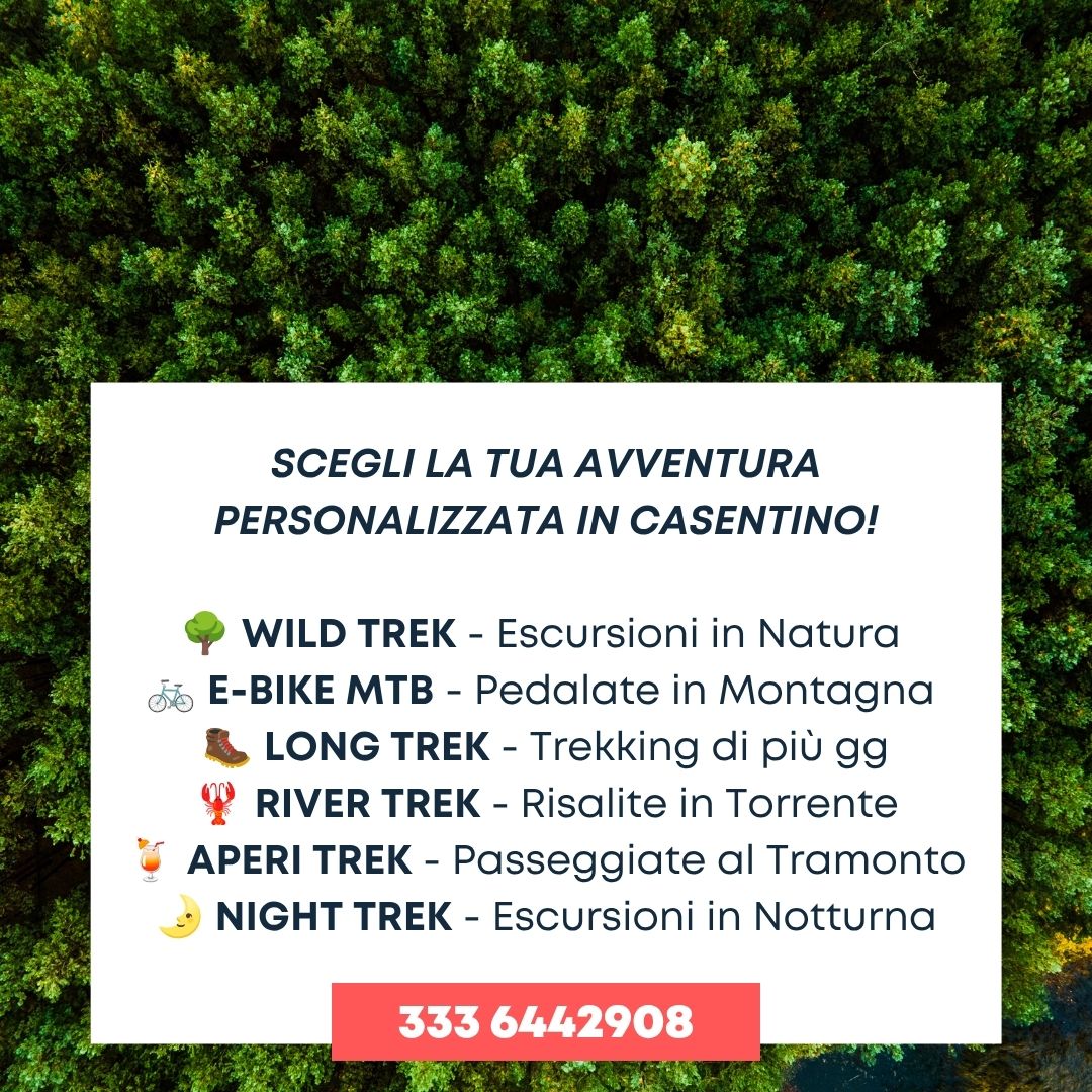 Avventura personalizzata in Casentino, escursioni in natura, in notturna e passeggiate in montagna o al tramonto