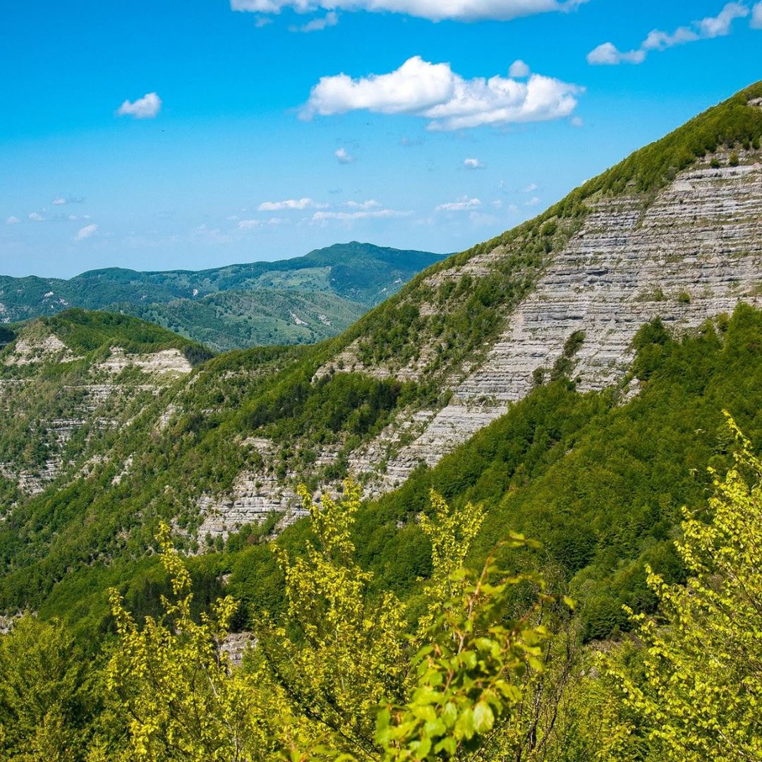 Escursione in natura con vista sulle Balze delle Rondinaie dal Monte Falterona e Monte Falco nelle Foreste Casentinesi